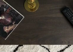 Table Basse 110x40 Manguier Huilé Gris Taupe DIAMOND #100 -Massivmoebel24 09 100 760 0001 5