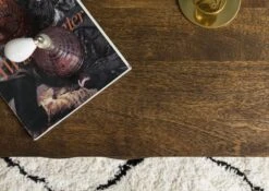 Table Basse 110x40 Manguier Huilé Brun DIAMOND #200 14 Table Basse 110x40 Manguier Huilé Brun DIAMOND #200 -Massivmoebel24 09 100 760 1001 5