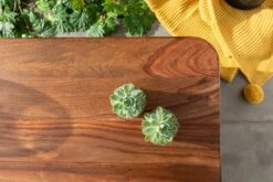 Table Basse 118x65 Palissandre Ciré Noisette TORONTO #252 -Massivmoebel24 09 200 665 1052 7