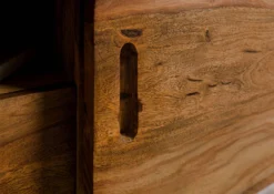 Meuble TV En Bois De Sheesham 134x40x48 Marron Clair Laqué MAILAND #125 -Massivmoebel24 09 313 875 0125 07