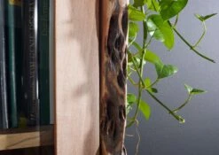 Vitrine 105x45 Acacia Laqué Bois Naturel PURE ACACIA #711 8 Vitrine 105x45 Acacia Laqué Bois Naturel PURE ACACIA #711 -Massivmoebel24 09 320 886 7011 4