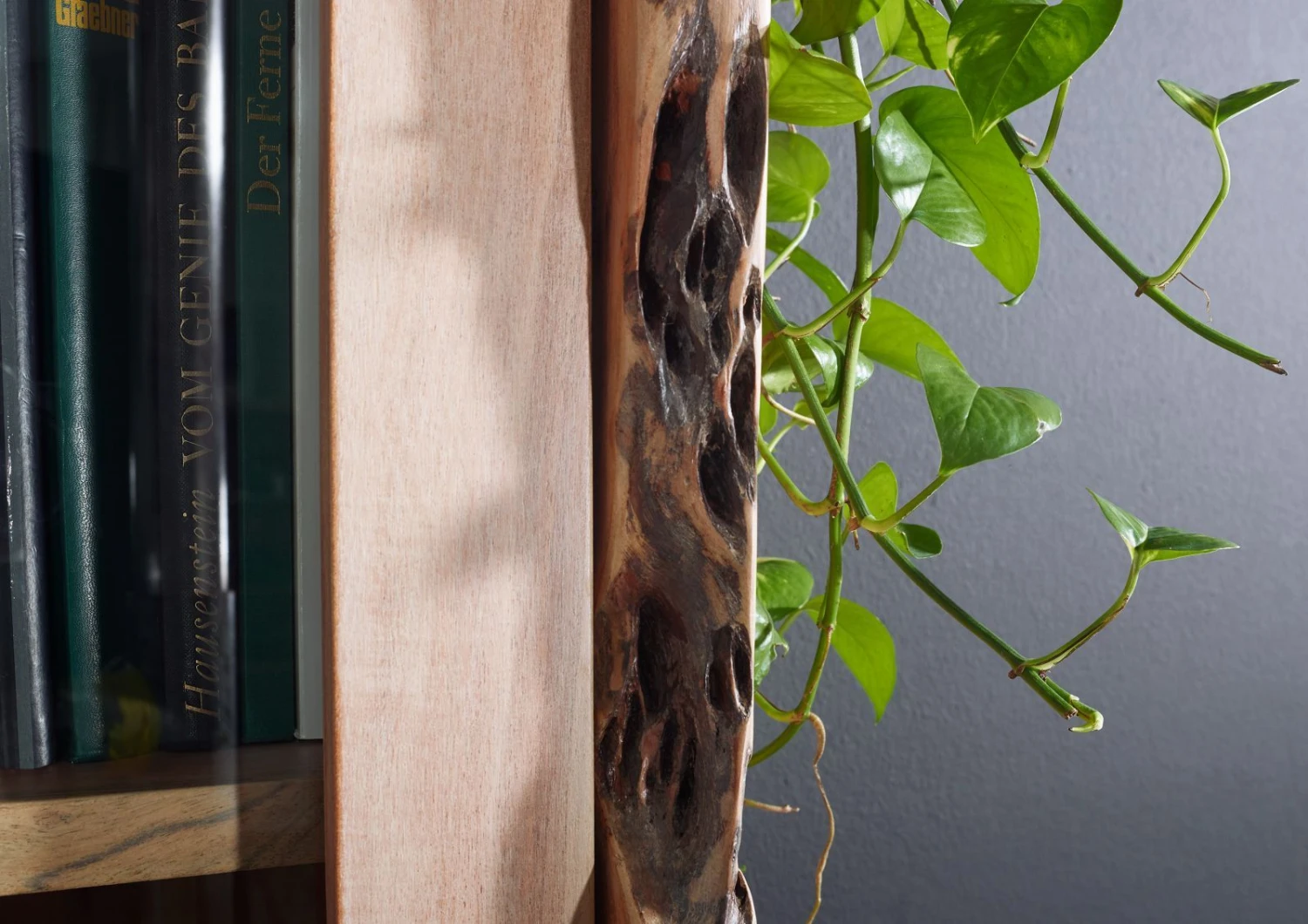 Vitrine 105x45 Acacia Laqué Bois Naturel PURE ACACIA #711 4 Vitrine 105x45 Acacia Laqué Bois Naturel PURE ACACIA #711 – Image 4