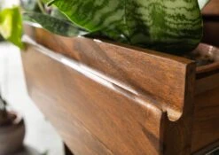 Étagère 88x40 Palissandre Ciré Noisette TORONTO #218 -Massivmoebel24 09 350 665 1018 5