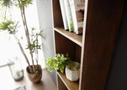 Étagère Murale 50x22 Acacia Laqué Brun PURE ACACIA #201 10 Étagère Murale 50x22 Acacia Laqué Brun PURE ACACIA #201 -Massivmoebel24 09 350 886 2001 5