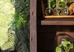 Étagère 81x45 Acacia Laqué Brun PURE ACACIA #206 -Massivmoebel24 09 350 886 2006 4