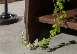 Étagère 81x45 Acacia Laqué Brun PURE ACACIA #206 -Massivmoebel24 09 350 886 2006 5