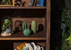 Étagère 81x45 Acacia Laqué Brun PURE ACACIA #206 -Massivmoebel24 09 350 886 2006 6