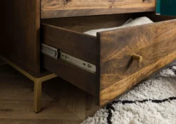 Armoire 99x55 Manguier Huilé Brun DIAMOND #218 16 Armoire 99x55 Manguier Huilé Brun DIAMOND #218 -Massivmoebel24 09 612 760 1018 7