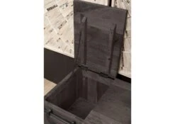 Coffre 76x51 Manguier Laqué Gris RAILWAY #234 -Massivmoebel24 09 900 772 1028 5