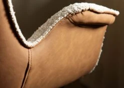 Chaise Rembourrée Structure Acier 67x64x87 Beige / Marron ELLA #100 15 Chaise Rembourrée Structure Acier 67x64x87 Beige / Marron ELLA #100 -Massivmoebel24 51 151 339 1000 06