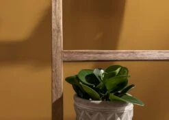 Échelle Porte-serviette 50x5 Teck Brut Teck Naturel BASSANO #134 12 Échelle Porte-serviette 50x5 Teck Brut Teck Naturel BASSANO #134 -Massivmoebel24 54 900 720 0005 5